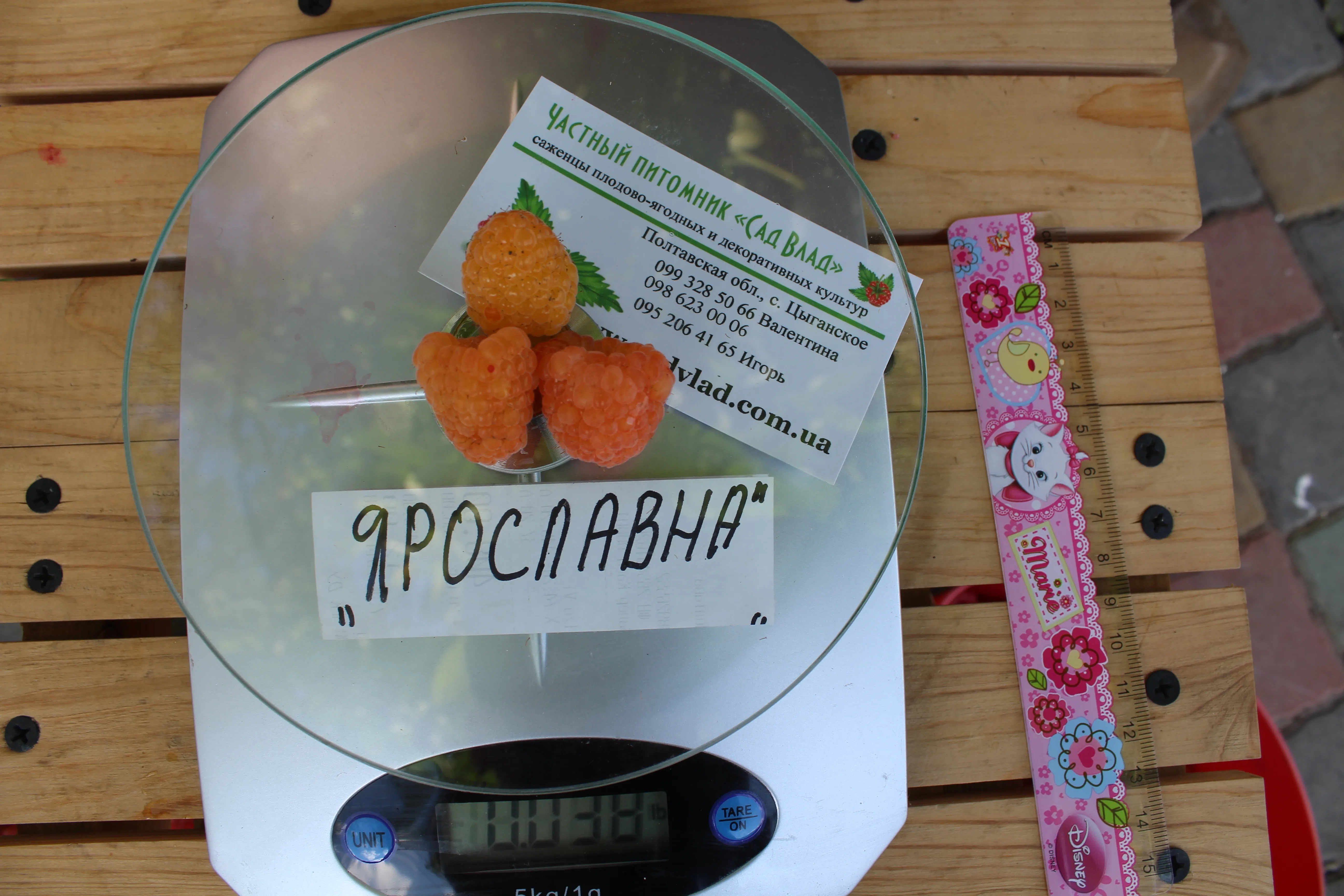 Приватний розплідник - малина сортова